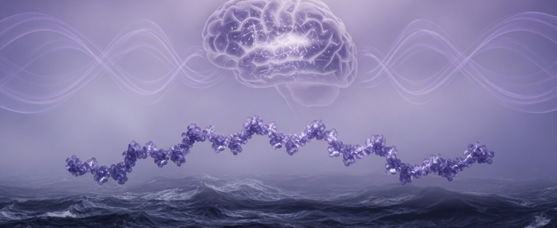 Cognitive Peptides: Semax, Selank, and the Neuropeptide Research Landscape