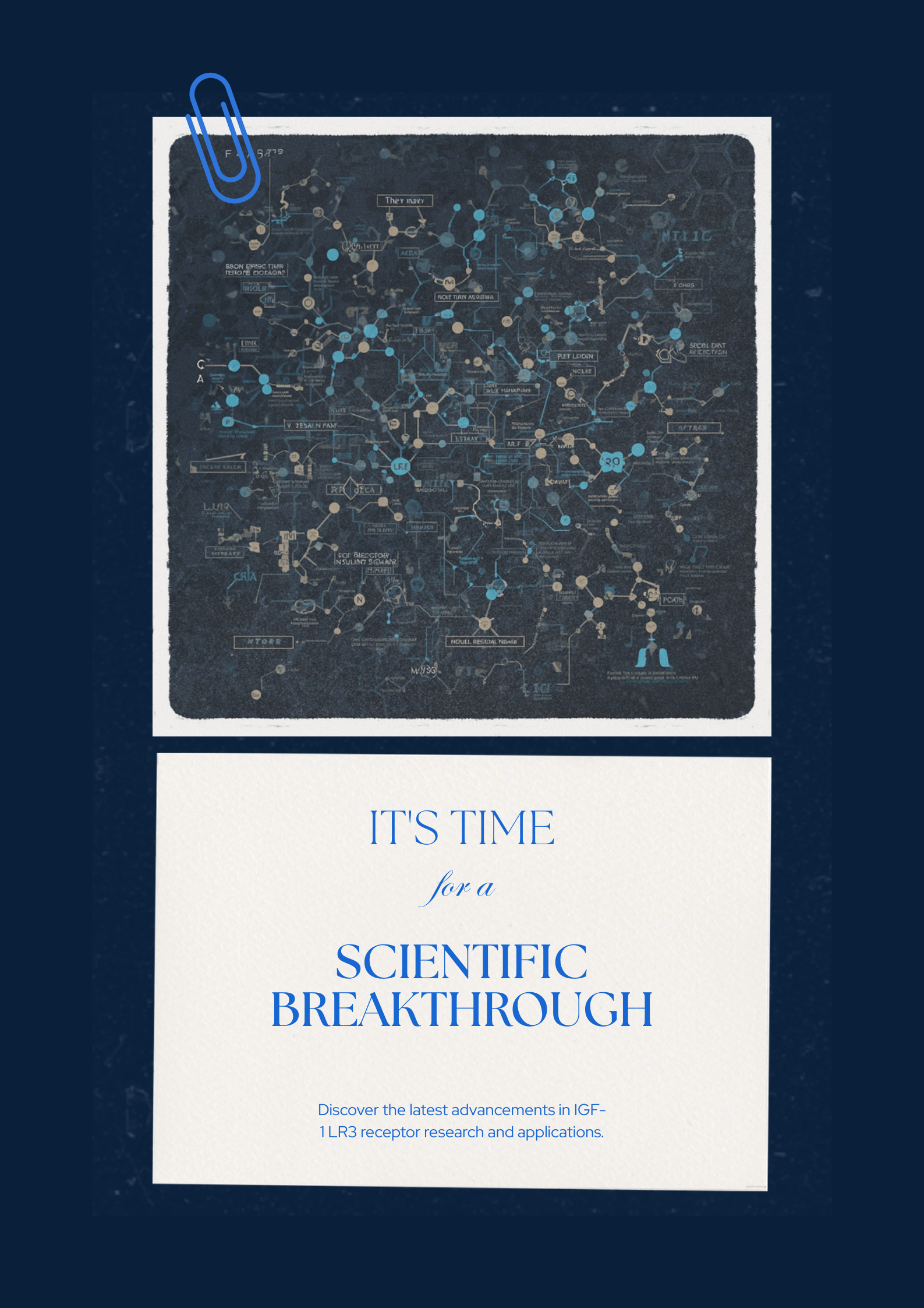 IGF-1 LR3: Research on the Long-Acting Insulin-Like Growth Factor Analogue
