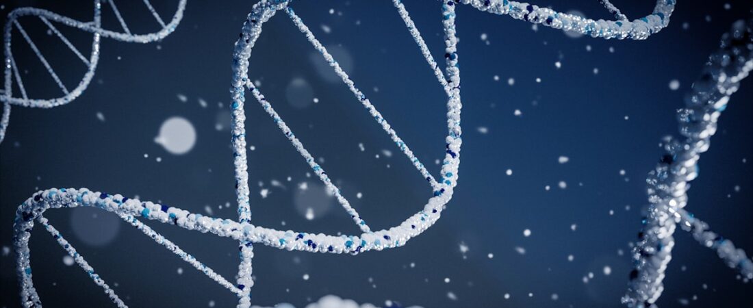 Interest Is Not Evidence: Separating Peptide Popularity from Clinical Proof